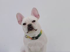 -GOOD好事咖啡(会展城店)