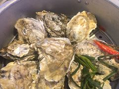 -千岛蚝高压锅生蚝·人参火锅(白云万达店)