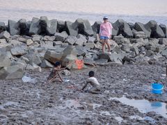 -南汇嘴观海公园