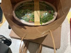 -油梨树 AVOCADO TREE(亮马桥店)