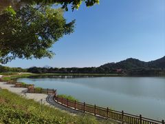 -风云岭森林公园