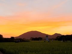 -风云岭森林公园