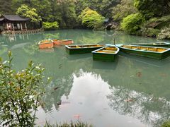-灵栖洞天