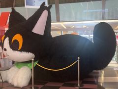 -福田卓悦INTOWN购物中心