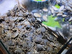 -聚盛源蒸汽海鲜火锅烤肉自助(巨川金海岸购物广场店)