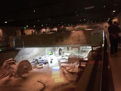 -洛阳周王城天子驾六博物馆