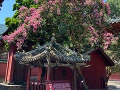 -报恩寺(平武县)