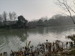 -中国湿地博物馆