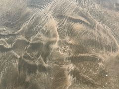 -东海半边山旅游度假区
