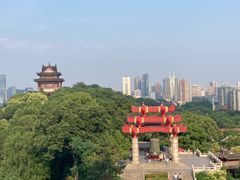 -黄鹤楼公园(黄鹤楼)