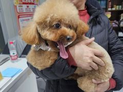 -心仪动物医院·牙专科·肿瘤·心脏科(西客站院)