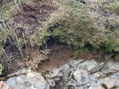 -北京鹫峰国家森林公园