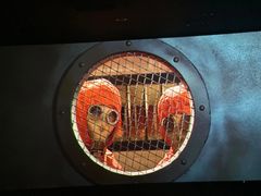 -飞扬影城(正佳IMAX店)