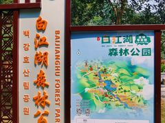 -广州白江湖森林公园