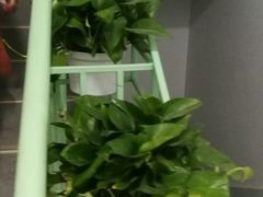 -北京第二实验小学