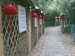 -同里国家湿地公园