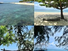 -沿江海南菜·文昌鸡祖师爷(大东海店)