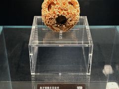 -广西壮族自治区博物馆