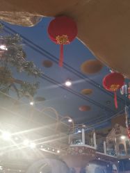 -卡通尼·Safari非洲探索乐园·生日会(金桥国际商业广场店)