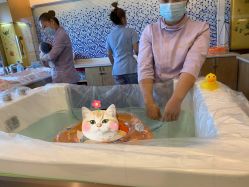 -琅悦月子会所(香格里拉旗舰店)