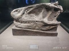 -自贡恐龙博物馆