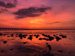 -宝安西湾红树林湿地公园