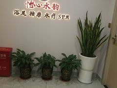 -怡心阁·水疗SPA(天府广场店)