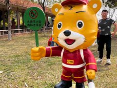 -大屏嶂森林公园
