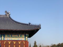 -天坛文创店