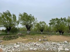 -汉长安城未央宫国家考古遗址公园