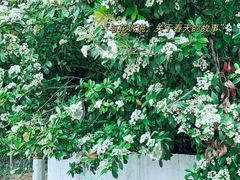 -宁波天华捷豹路虎4S店