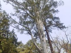 -香山公园