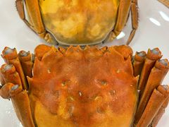 清水大闸蟹-王宝和酒家(黄浦店)