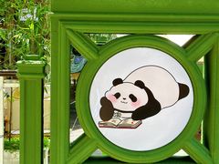 -轩客会(熊猫书店)