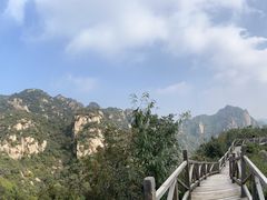 -大岭沟猕猴桃谷风景区