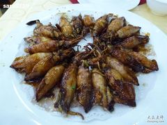 美极比管鱼-海岛渔村大酒店(云霄路店)