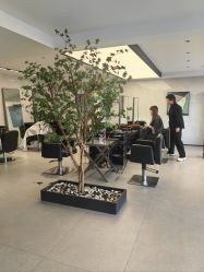 -付军剪艺JF ProSalon