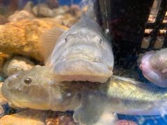 -健眺小海鲜(临海后山店)