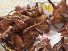 -百利鸽王(紫薇路店)