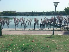 -美兰湖景区