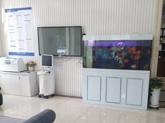 -中科领军口腔