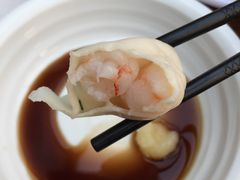 -一轩饺子馆(丽都店)