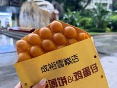 -成裕雪糕店(士多店)