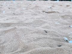 -兴城海滨风景区