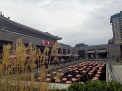 -薇酌饮·陕西菜(南门外店)