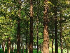 -东钱湖旅游度假区