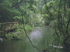 -永泰中国云顶
