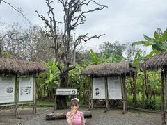 -大象粑粑造纸公园