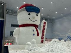 -哈尔滨热雪奇迹
