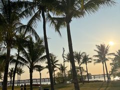 -深圳湾公园(南山区)